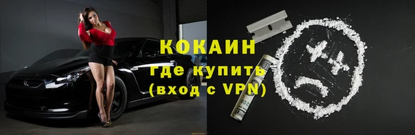 apvp Вяземский